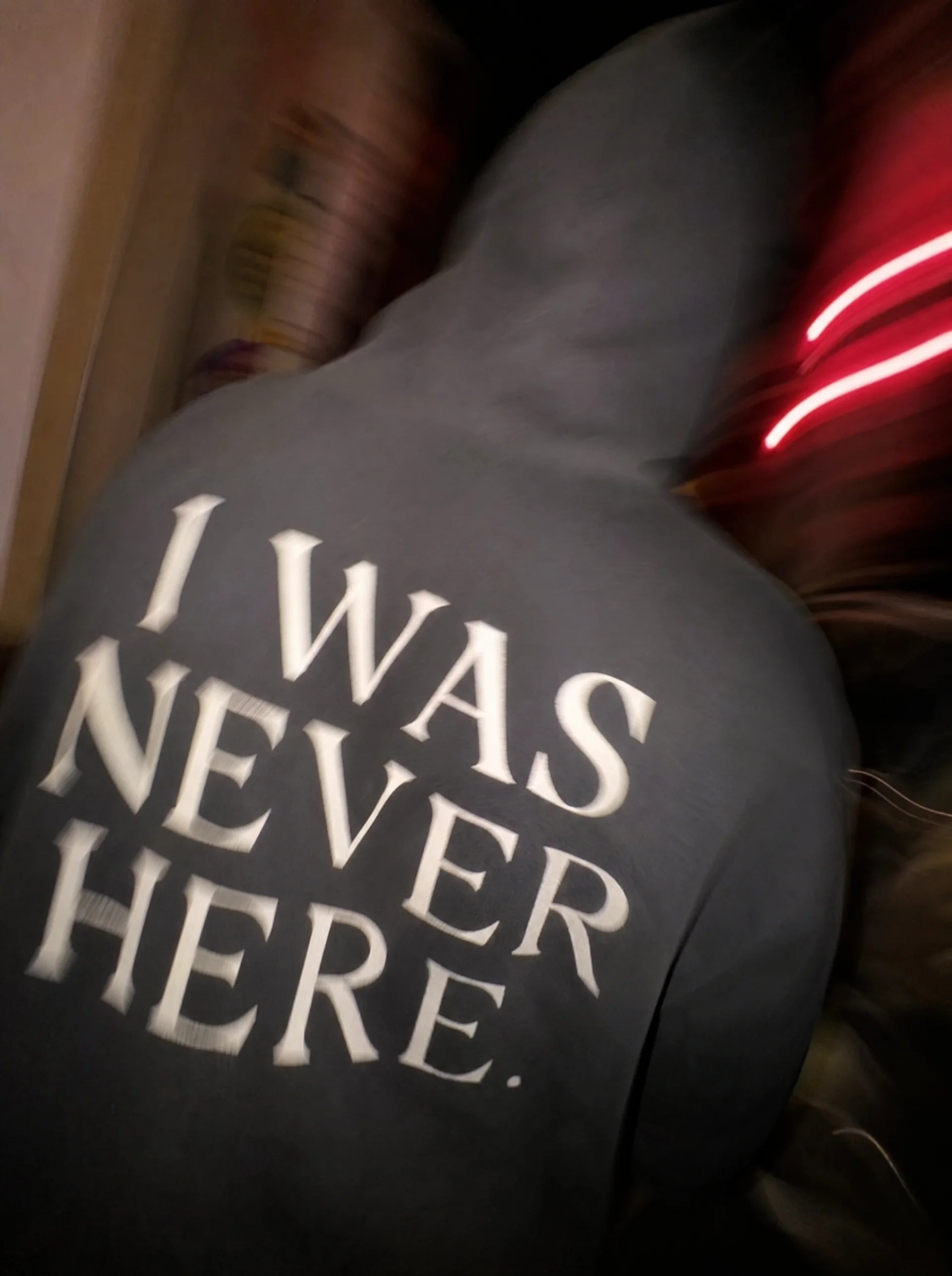 I Was Never Here